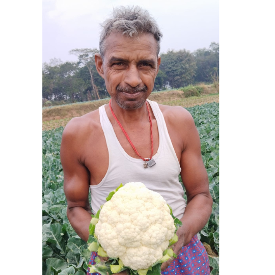 himangi-cauliflower-006