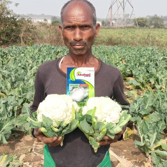 himangi-cauliflower-007