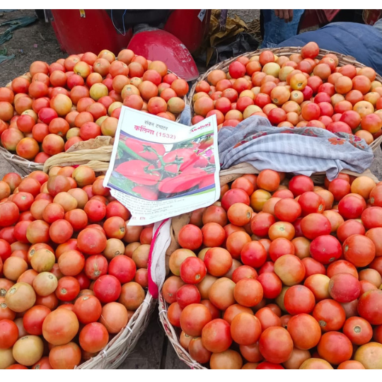 kalinga-image-for-website-005