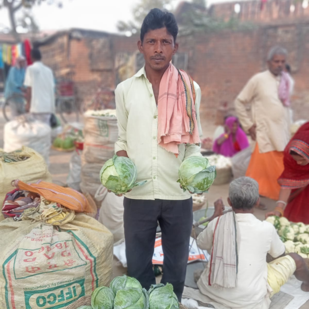 kashi -cabbage (3)