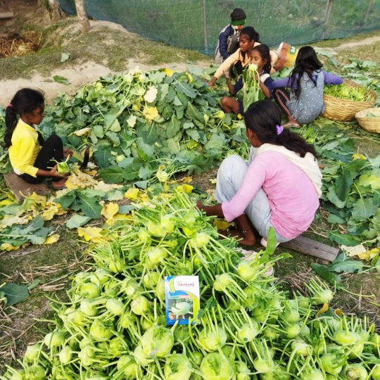 knolhole-images-foe-website-006