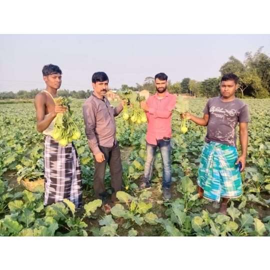 knolhole-images-foe-website-007