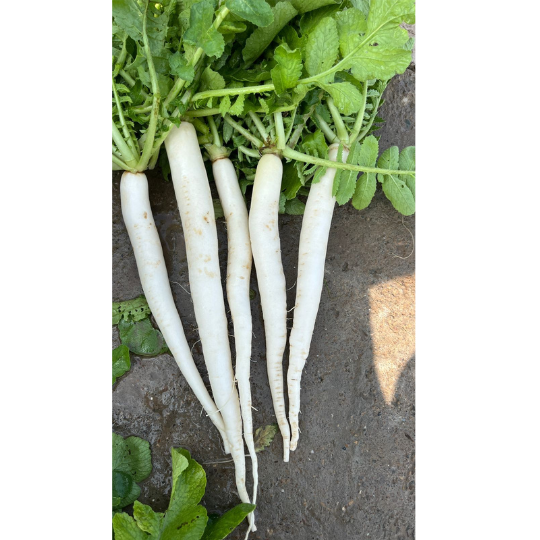 milky-white-images-for-website-002