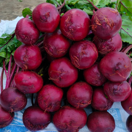 pluto-beet-root-image-for-website-003