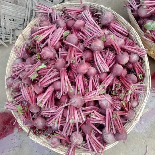 pluto-beet-root-image-for-website-007