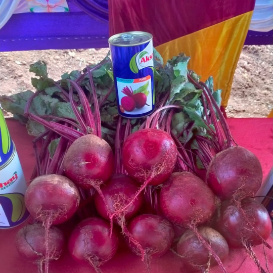 pluto-beet-root-image-for-website-008