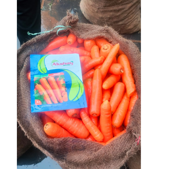 rihaan-carrot-image-for-website-001