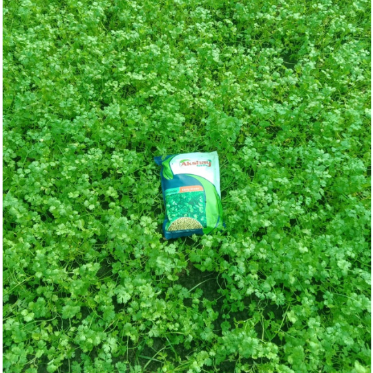 royal-green-image-for-website-006