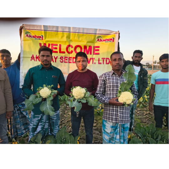 saumya-website-002