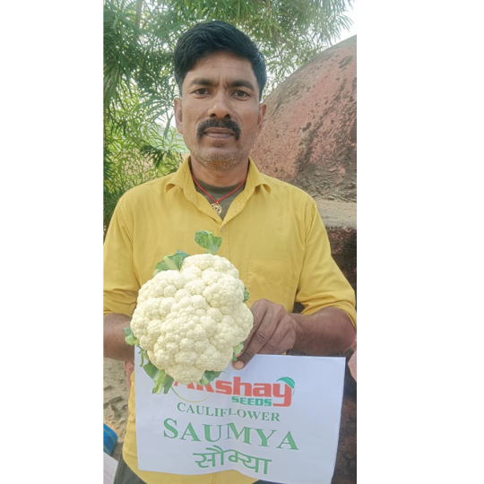 saumya-website-004