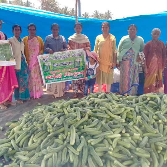 shagun-cucumber-photos -for-website-002