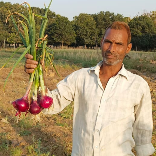 sukhsagar-onion-for-website-001