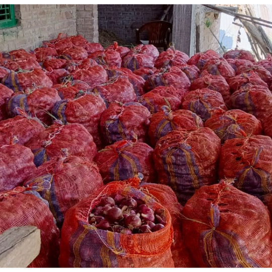 sukhsagar-onion-for-website-003