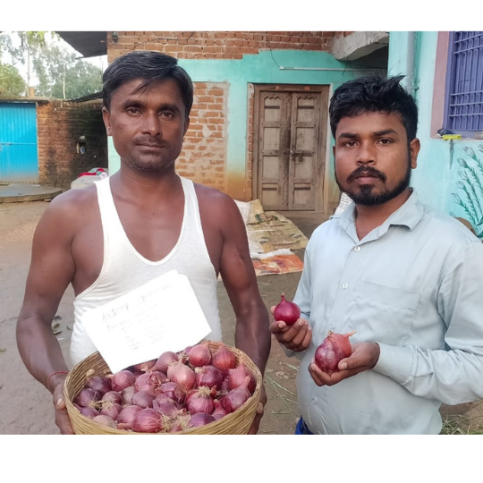 sukhsagar-onion-for-website-005