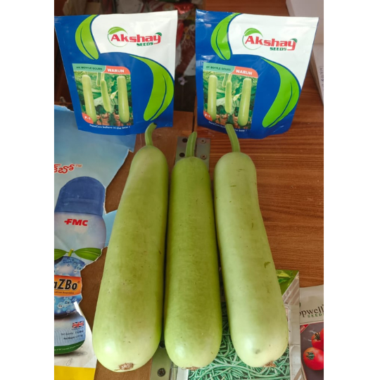 warun-bottle-gourd-image-for-website-001