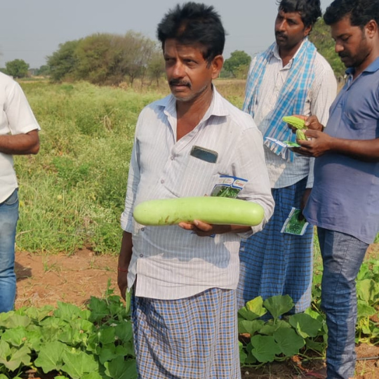warun-bottle-gourd-image-for-website-007