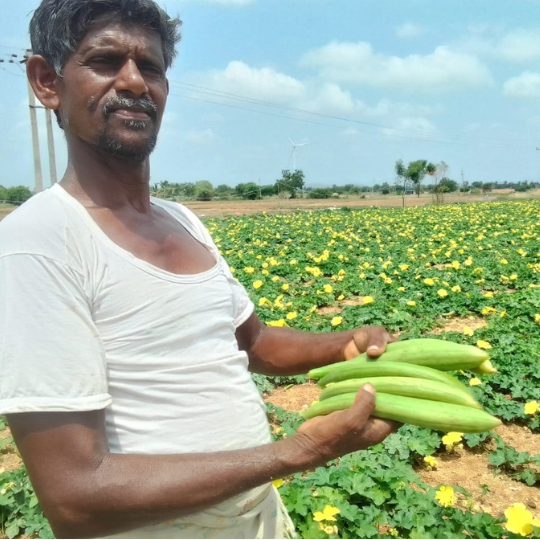 Suhani image 002
