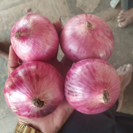 akshay gulabi image 001