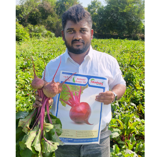 akshay queen beet root 003