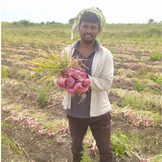 akshay rose image 002