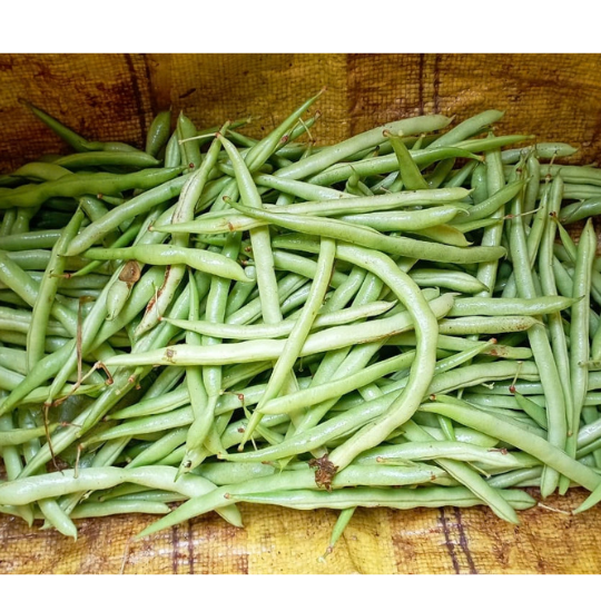 ayesha beans 003