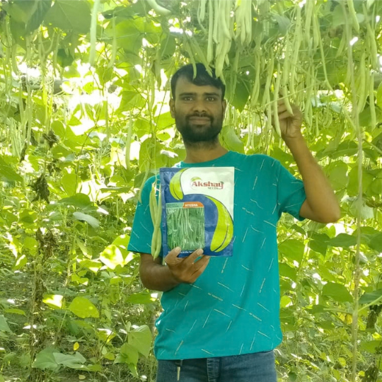 ayesha beans 004