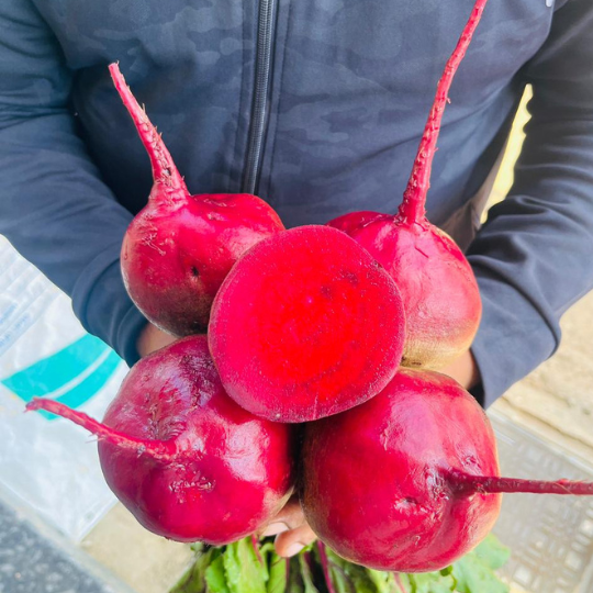 jupiter beetroot image 001
