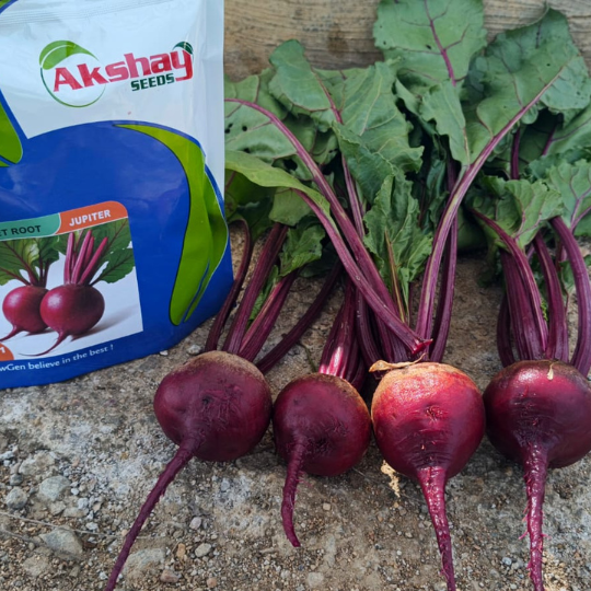 jupiter beetroot image 002