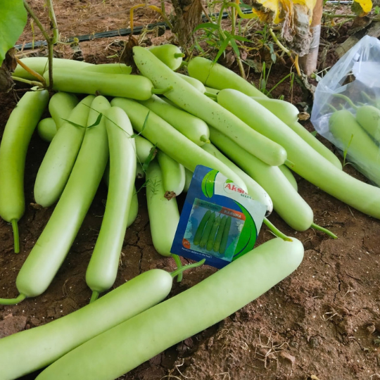 karuna image 005