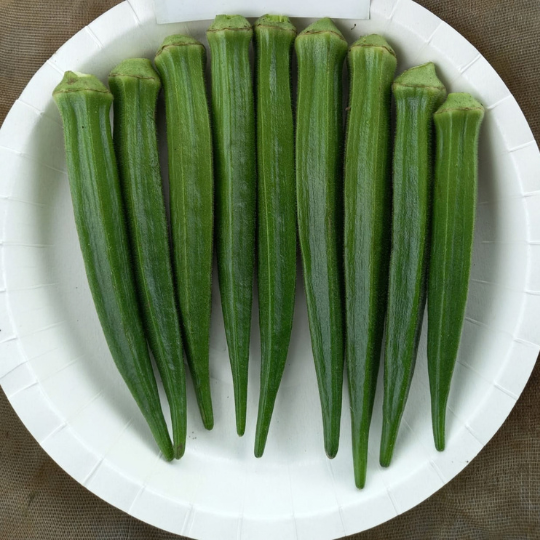kuber okra website 001