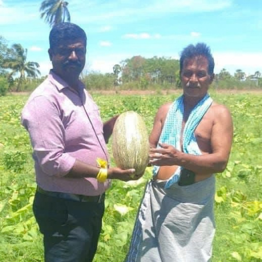 pushpa image 005