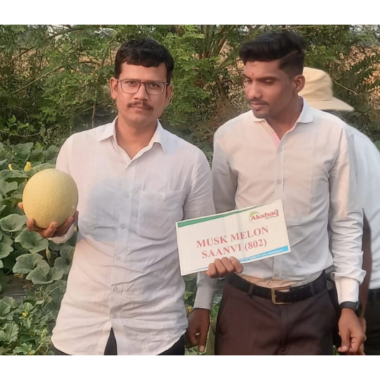 saanvi muskmelon 002
