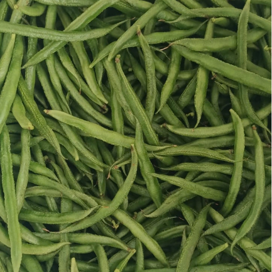 shankar beans 002