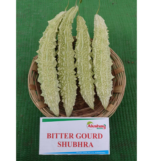 shubhra bitter gourd 002