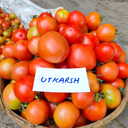 utkarsh 779 for website003