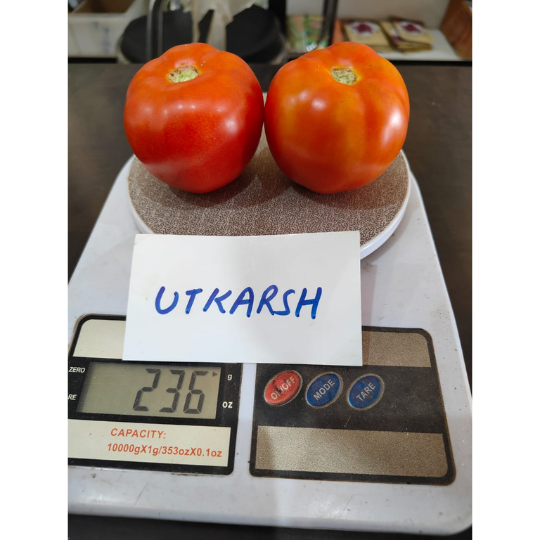 utkarsh 779 for website005