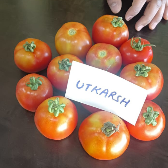 utkarsh 779 for website006